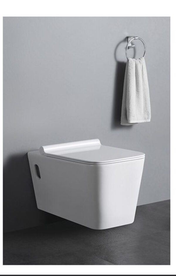 Super Executive Conduit Water Closet - Model BT365-TCT3