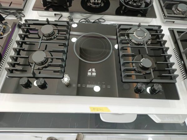 4+1 electric and gas burner