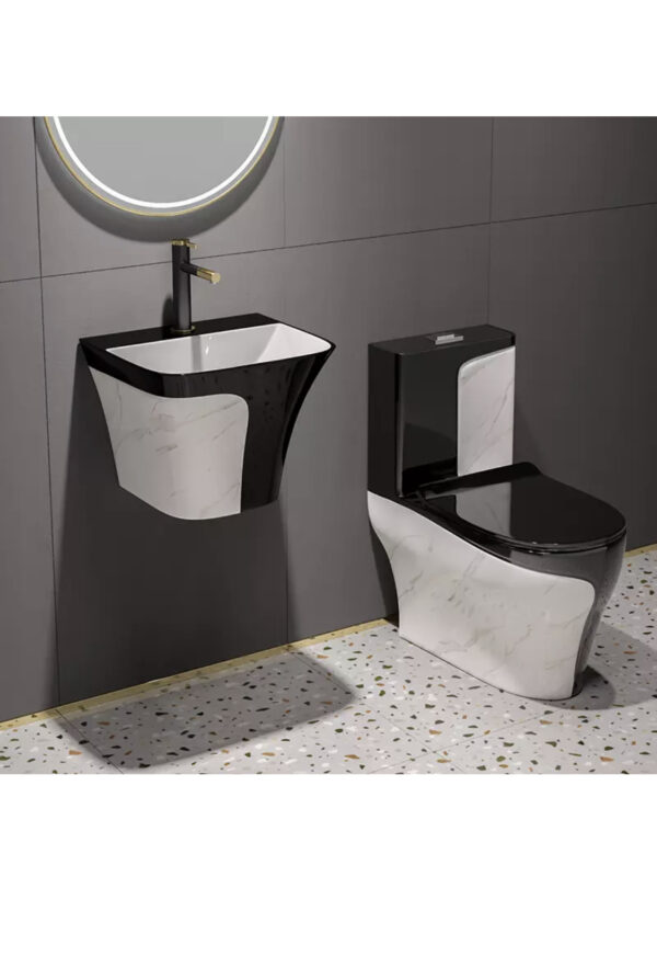 Black and White Luxury WC with Coordinated Wall-Hung Basin