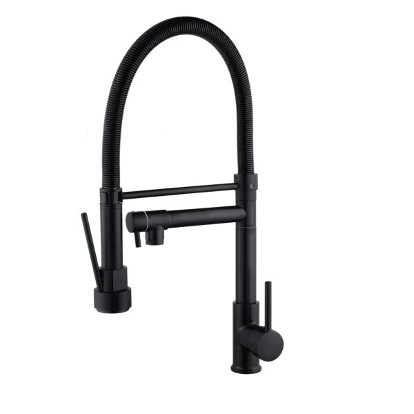 Matte Black 2-in-1 Full Chain Sink Mixer